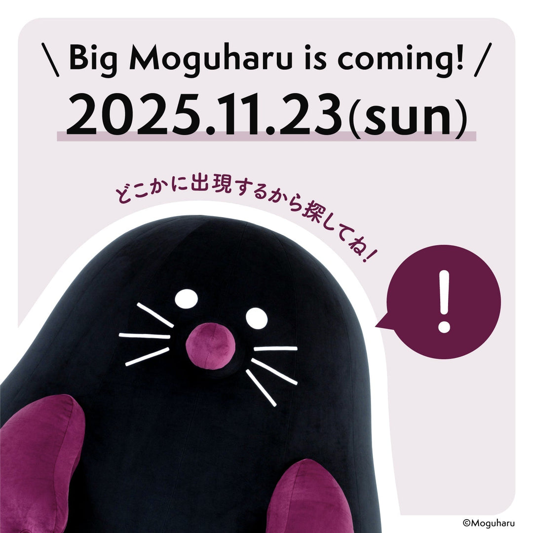 【ビッグモグハル出現情報！】11月23日（日） 赤城神社にくるよ〜！