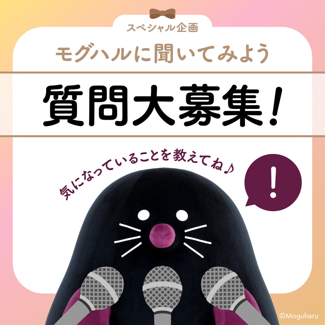 【スペシャル企画】モグハルに聞いてみたい質問大募集！